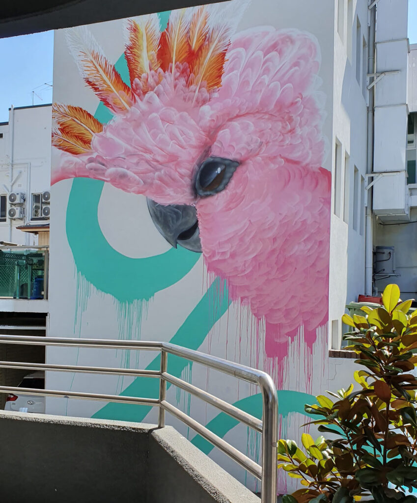 pink parrot drule art