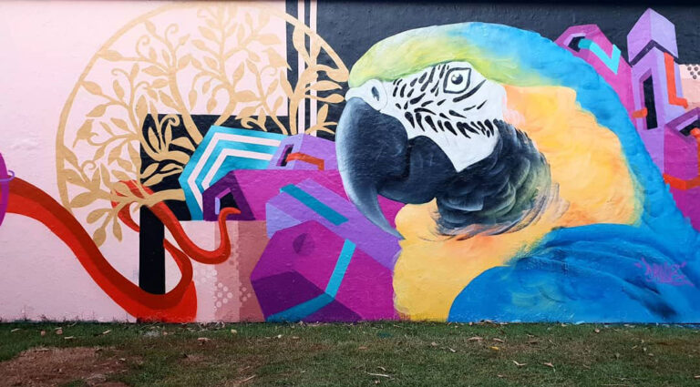 drule art - street art concepts parrot mural
