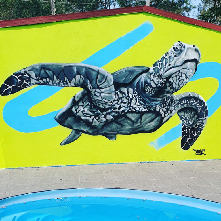 drule art - street art concepts turtle mural